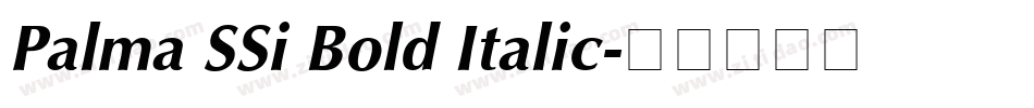 Palma SSi Bold Italic字体转换